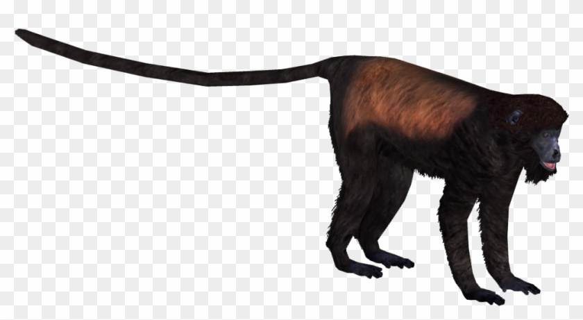 X Ray Clipart Macaque - Howler Monkey Png #1727255