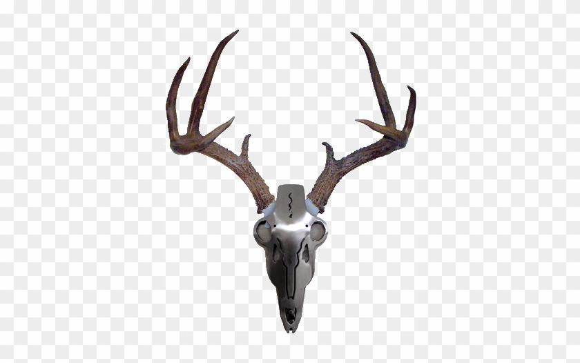 Iron Buck Antler Mount Free Transparent Png Clipart Images Download