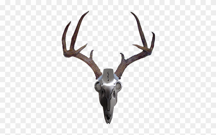 Iron Buck Antler Mount #1727398