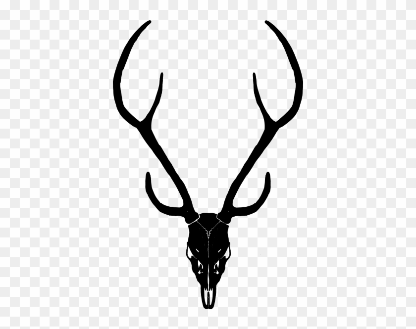 Axis Trophy - Axis Deer Black And White #1727413
