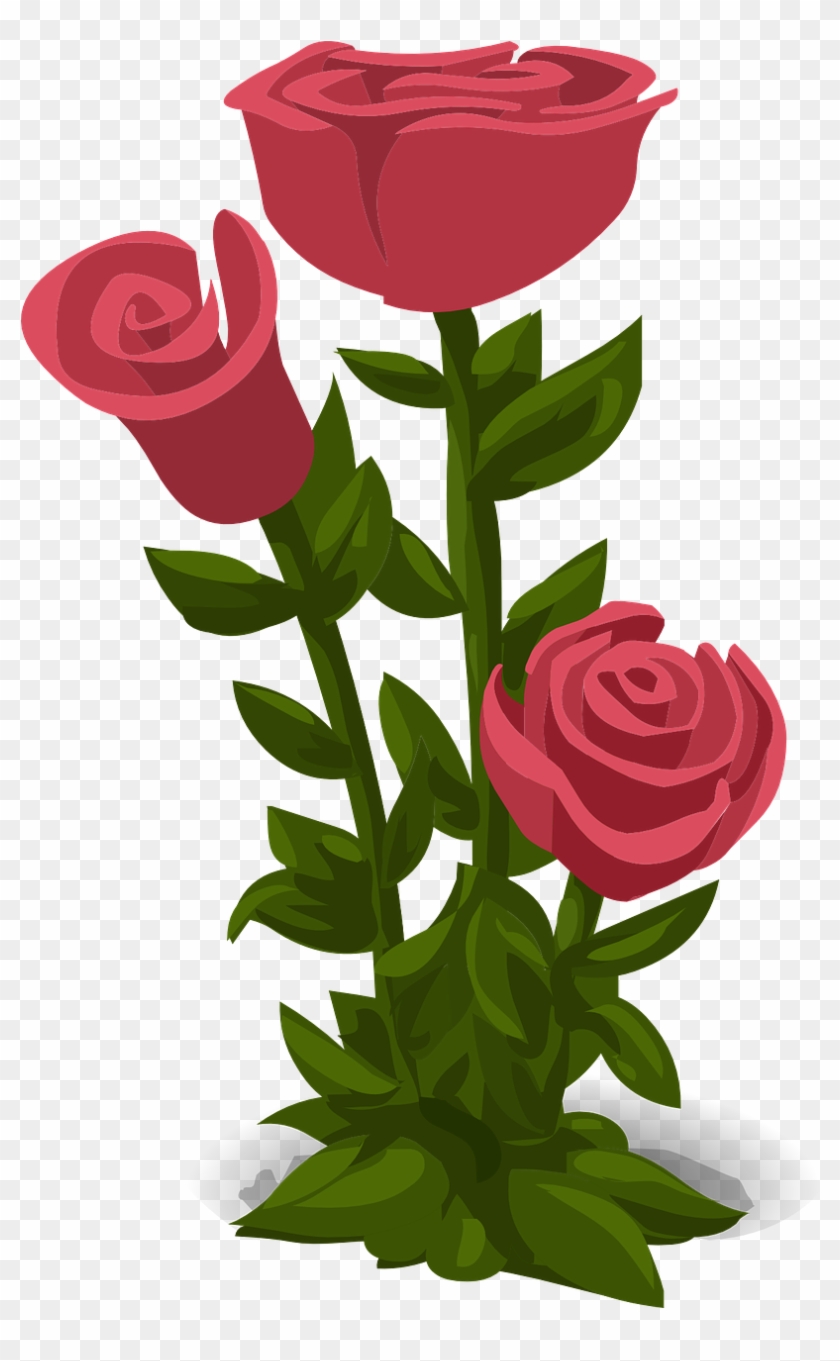 Wedding, Roses, Pink, Flowers, Floral, Nature - Hoa Hong Vector #1727415