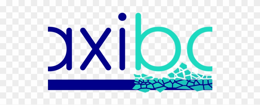 Eu Maxibone General Assembly 11-12 Feb - Eu Maxibone General Assembly 11-12 Feb #1727445