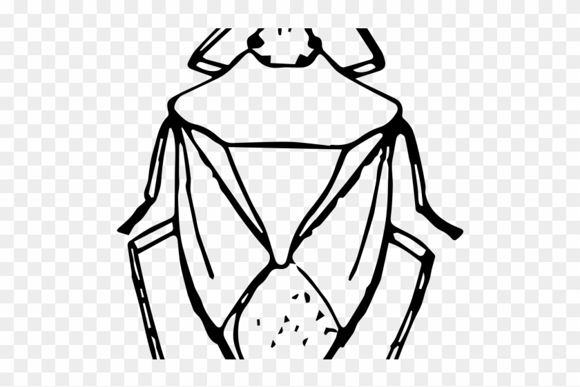 Insect Clipart Line Art - Stink Bug Clipart Black And White #1727485