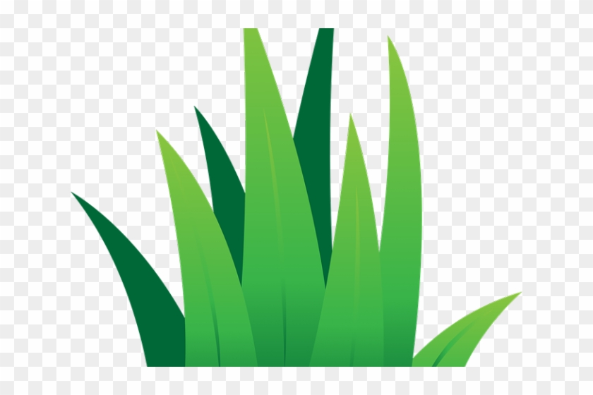 Lawn Clipart Leaves Grass - Agave #1727845