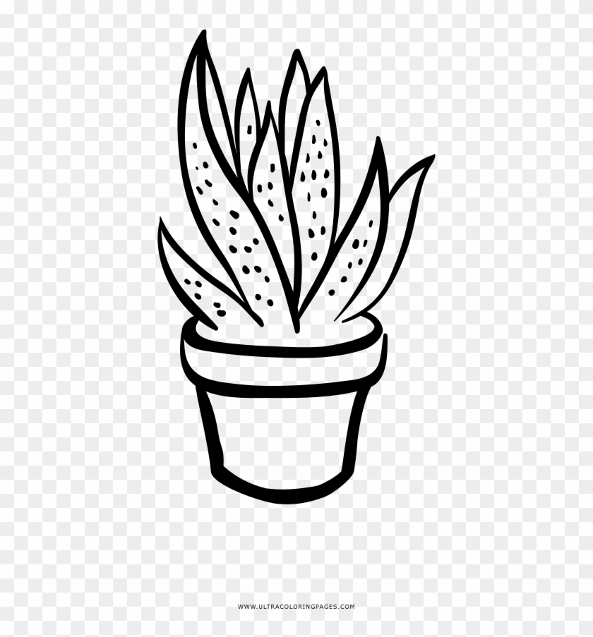 Succulent Coloring Page - Line Art #1727868