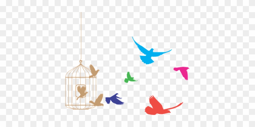 Birds, Cage, Freedom, Product, Eps - Flock Of Birds Clipart #1728028