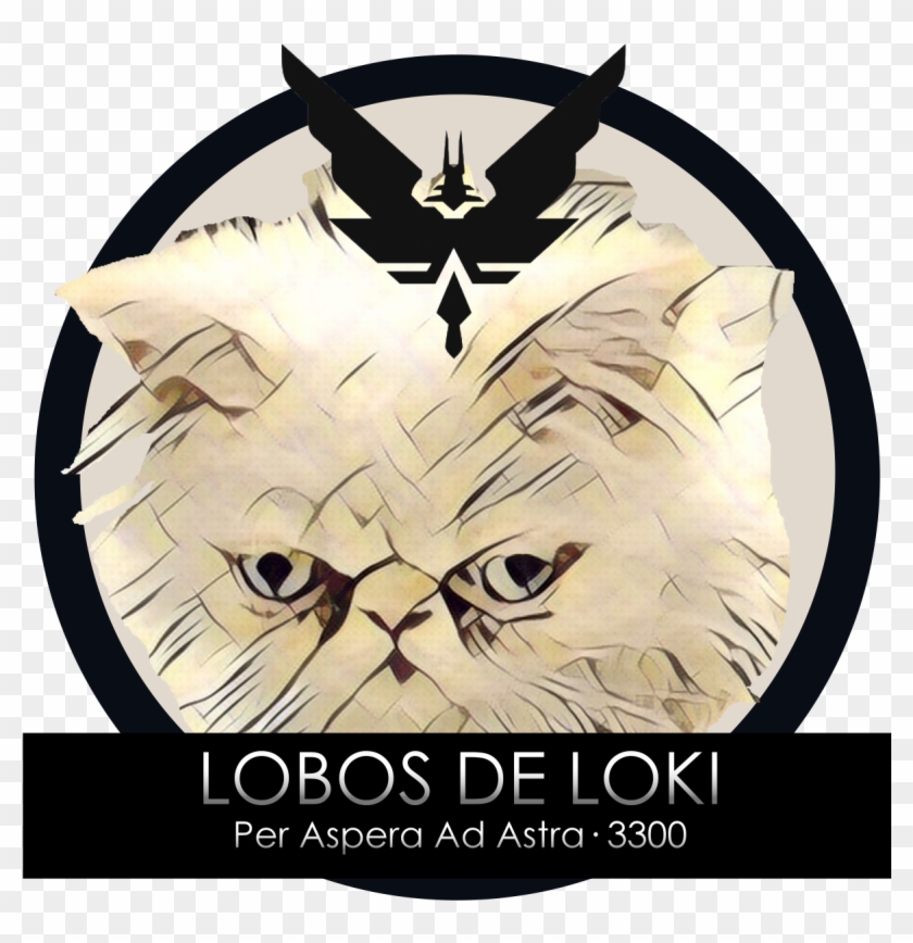 Cmdr Loki Madrid Followed - Cmdr Loki Madrid Followed #1728279