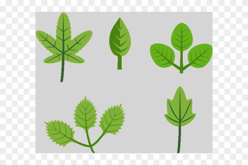 Leaves Clip Art #1728437