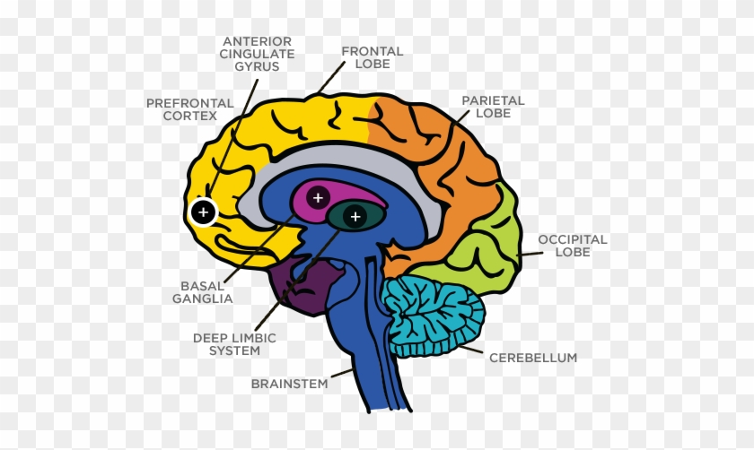 7 Types Of Add, Depression, Anxiety &amp - 7 Types Of Add, Depression, Anxiety &amp #1728609