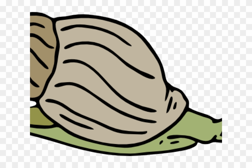 Snail Clipart Line Art - Sea Snail Gif Png #1729110