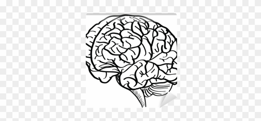 Human Brain Vector Outline Sketched Up - Brain Vector Png Hd #1729188