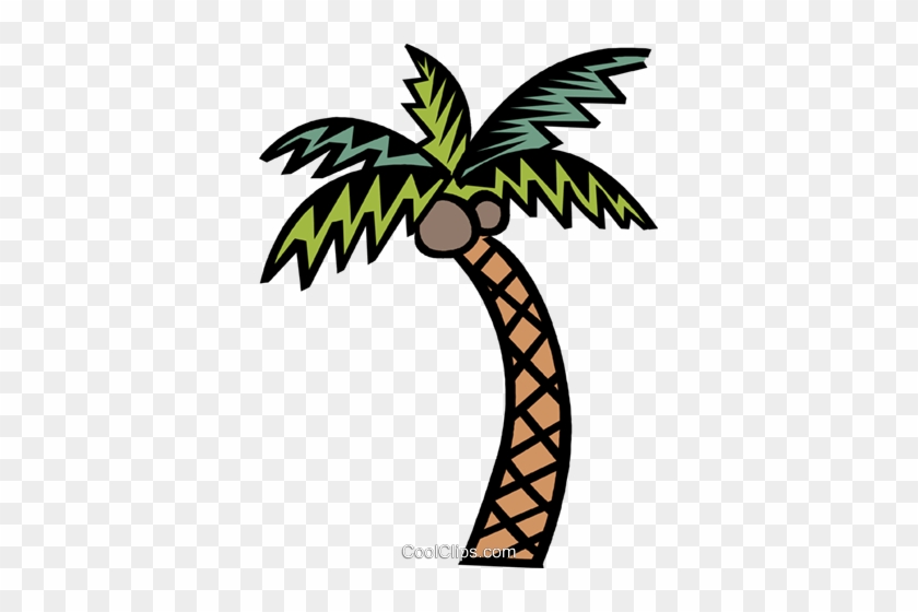 Palm Árbol Libres De Derechos Ilustraciones De Vectores - The Cay #1729403
