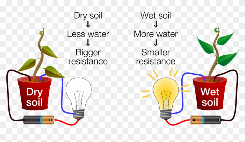Dry-wet Soil Diagram - Getting To Know Plants #1729727