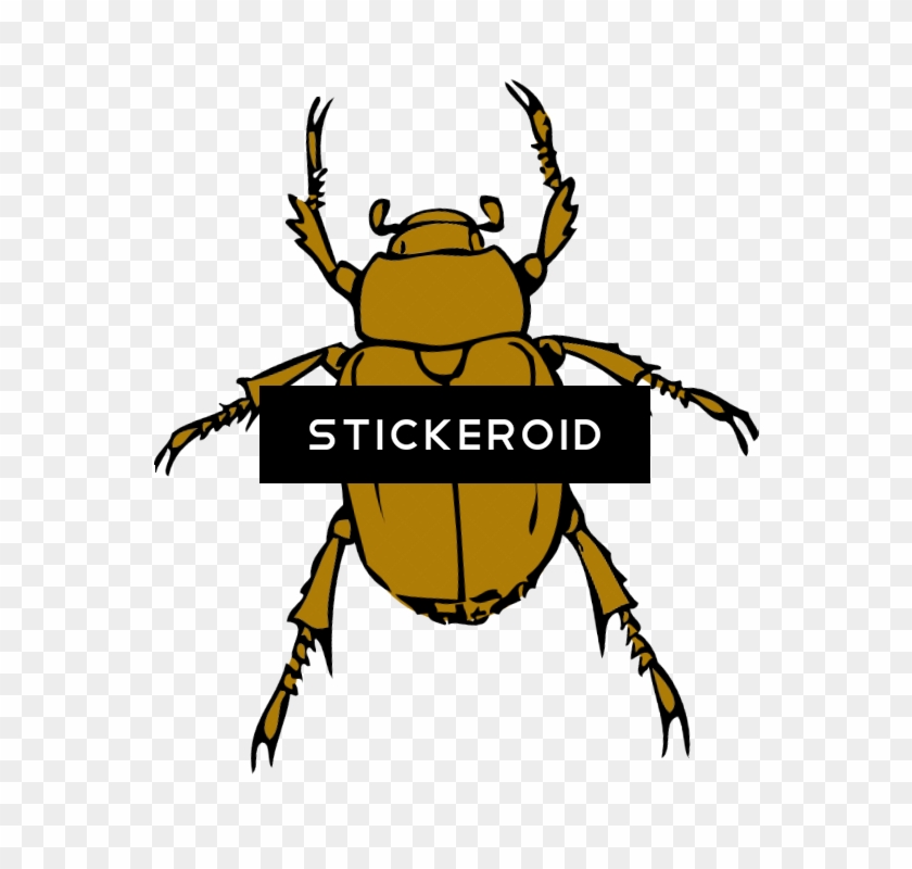 Beetle Bug Clip Art Bugs - Clipart Insect #1729857