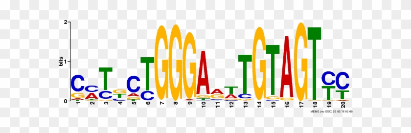 Motifs Enriched In The Top 500 Chip-seq Peaks - Motifs Enriched In The Top 500 Chip-seq Peaks #1730220