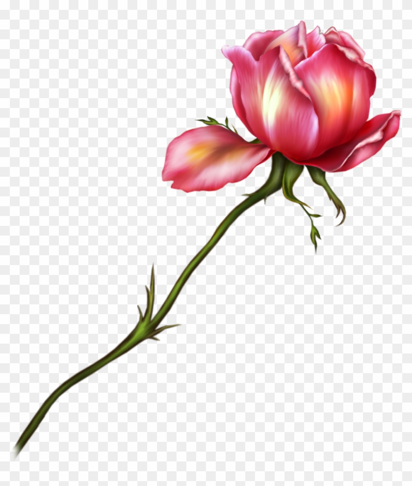 Free High Resolution Graphics And Clip Art - Flower High Resolution Png #1730244