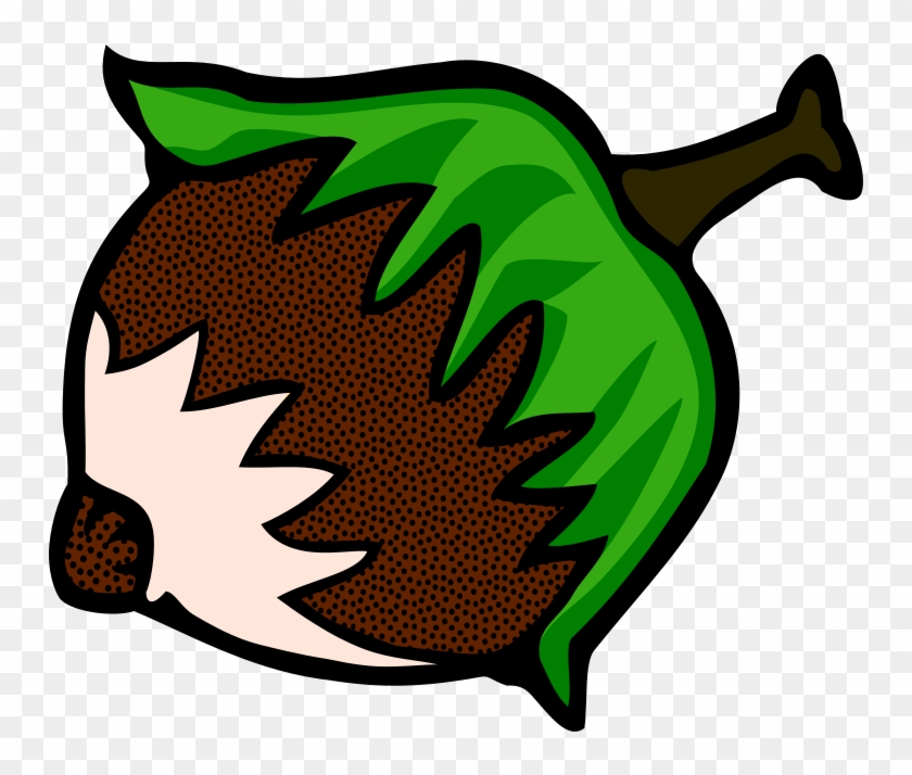 Hazelnut Coloured Clipart Icon Png - Orzech Laskowy Rysunek #1730788