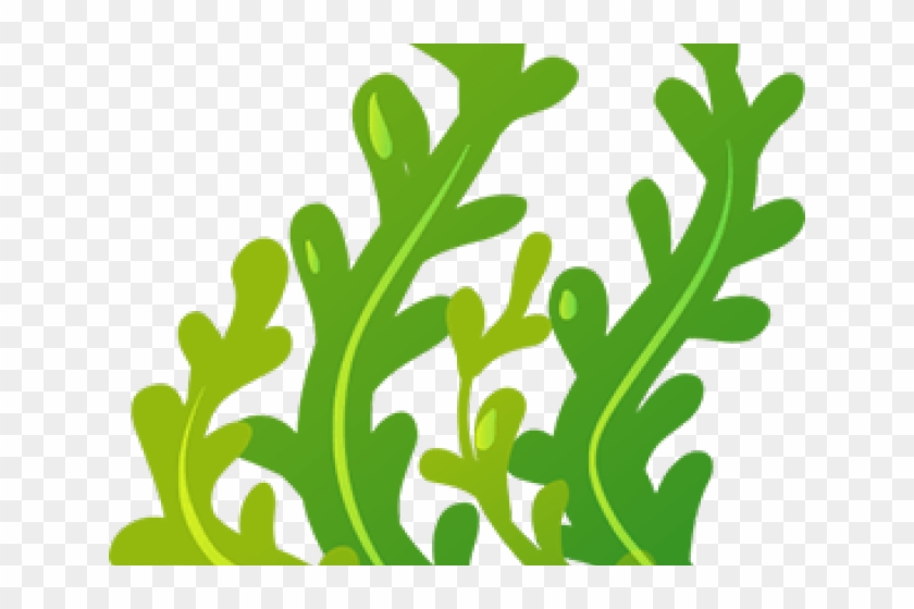 Bubble Clipart Seaweed - Clip Art Sea Weeds #1731061