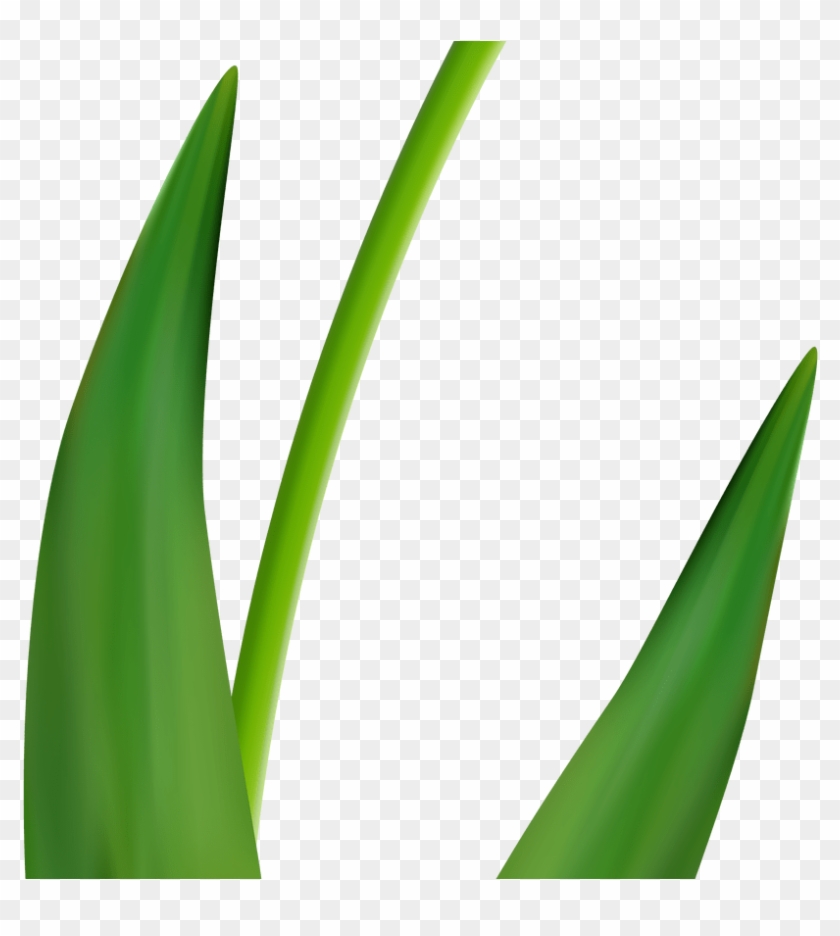 Yellow Tulip Transparent Clip Art Image Gallery Yopriceville - Grass #1731486