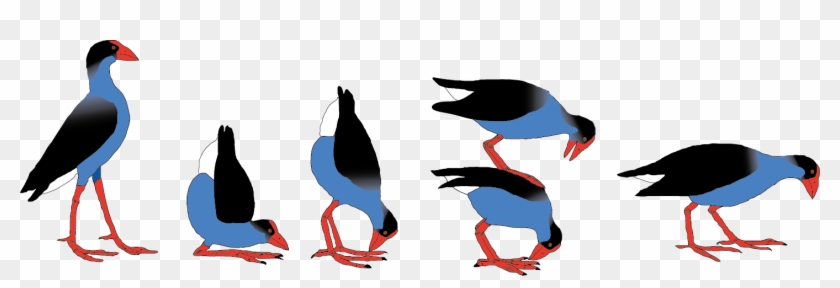 Swamphens - Pukeko Clipart #1731676