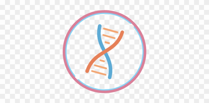 Chromosome Png - Chromosome Icon Png #1731744