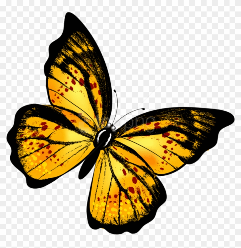 Free Png Download Yellow Transparent Butterflypicture - Clip Art Transparent Butterfly #1731798
