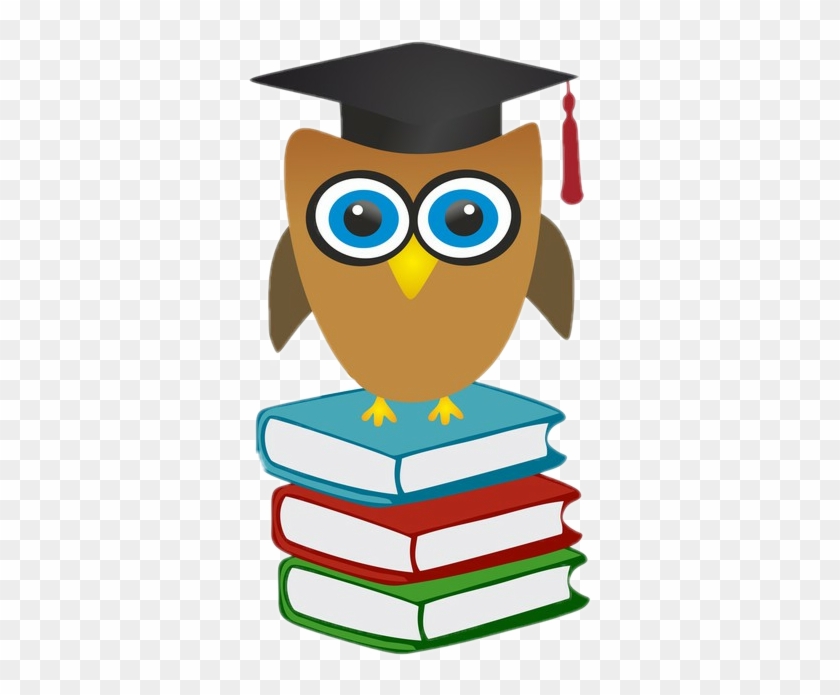 Owl Graduation 2019 #1732313