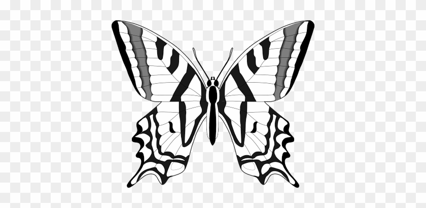 1076 Best Frontal Lobe Dementia Images - Clipart Butterfly Images Black And White #1732349