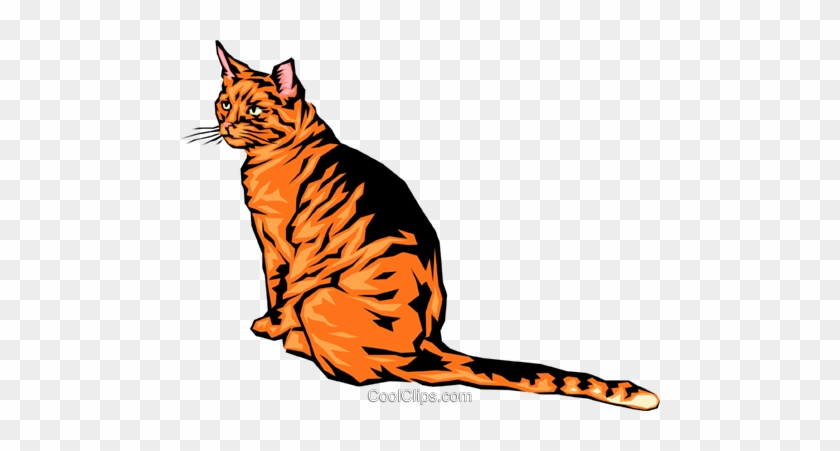 Cool Looking Cat Royalty Free Vector Clip Art Illustration - Bengal Tiger #1732367