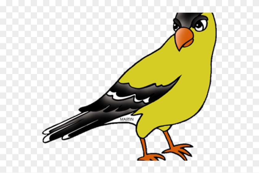 Goldfinch Clipart Nj State Bird - Iowa State Bird Cartoon #1732369
