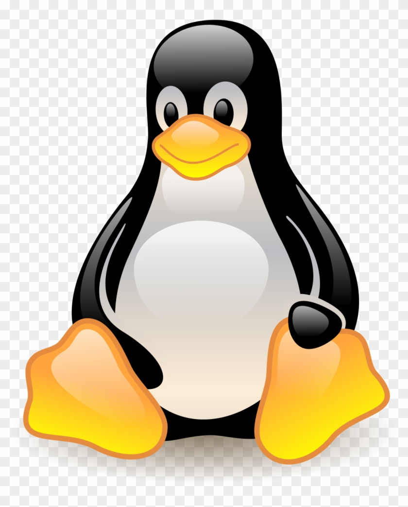 King Penguin Clipart Vector - Imagem Svg #262709