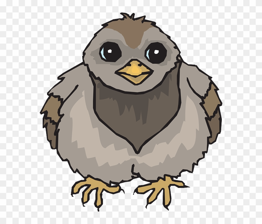 Baby Pigeon Clipart #262737