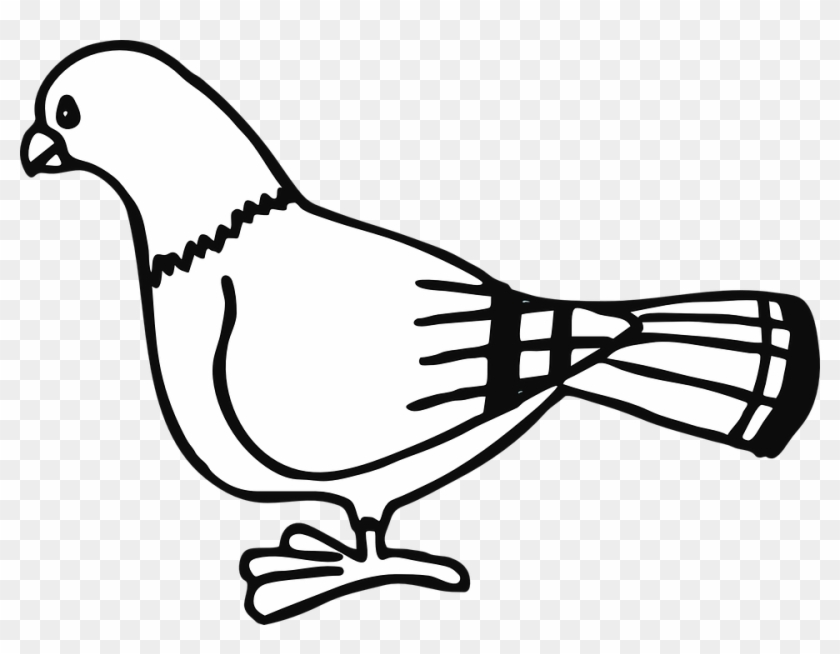 Pigeon For Coloringbook Clip Art At Clker - Pigeon For Coloring #262877