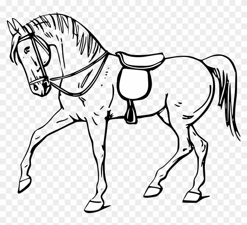 Walking Horse Outline - Outline Picture Of Horse #262887