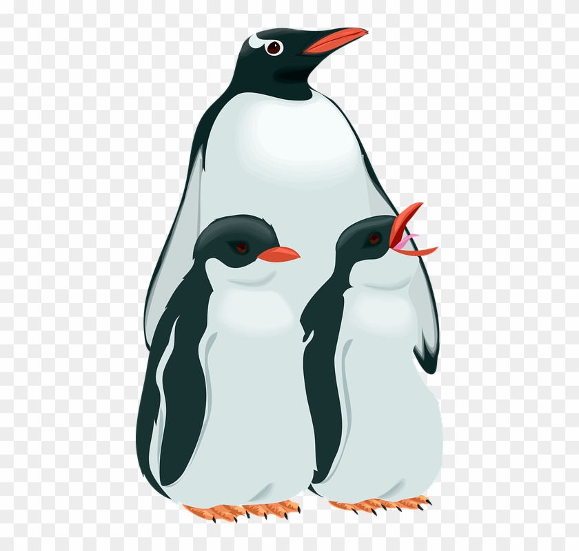 Family Penguin, Birds, Snow, Children, Parent, Cold, - Custom Penguin Family Shower Curtain #262940