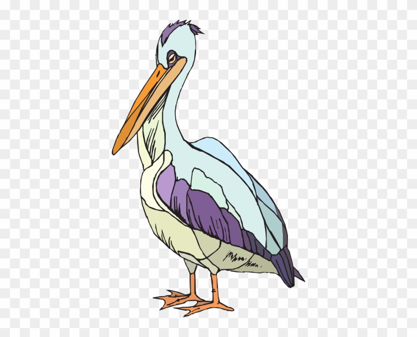 Colorful Pelican Clip Art At Pictures Png Images - Pelican Clipart Transparent #262948