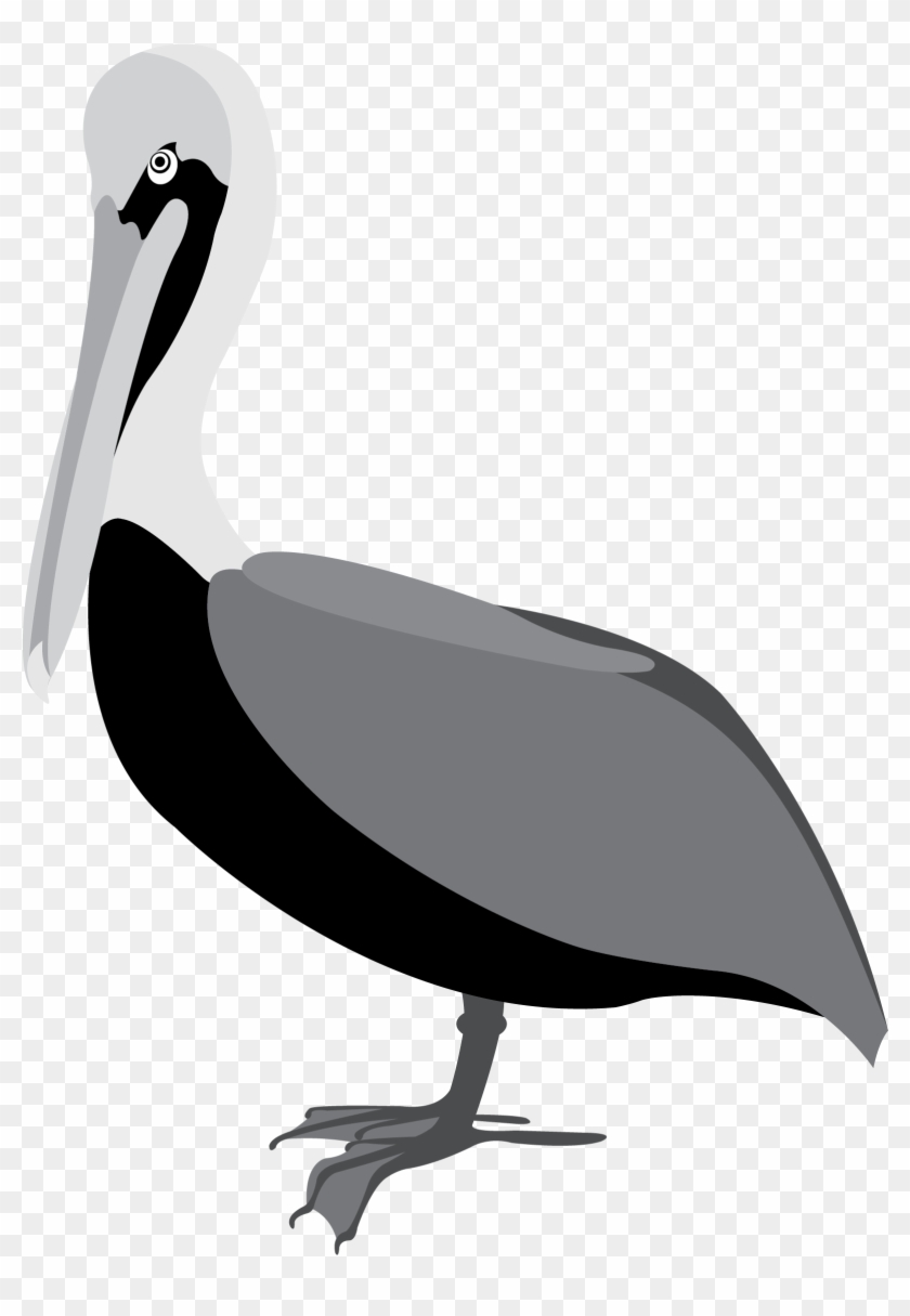 Pelican 2 Clip Art - Pelicans #262956