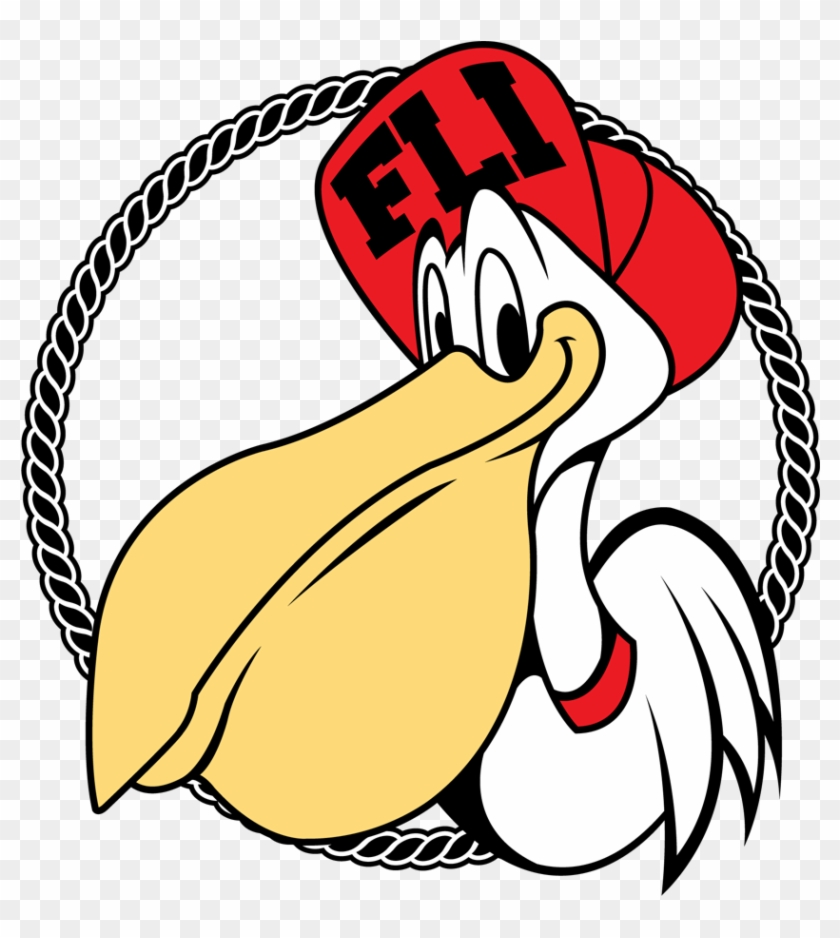For Those Of You Who Dont Know Fli Pelican Is A Fairly - For Those Of You Who Dont Know Fli Pelican Is A Fairly #262979