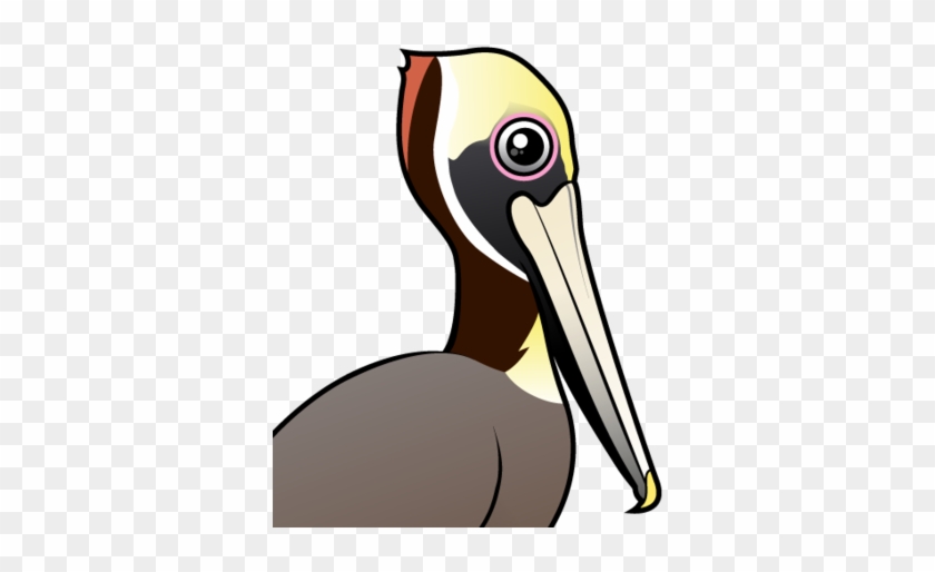 About The Brown Pelican - Kundengerechter Pelikan Fls Brown Grußkarte #262985