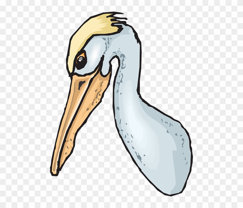 Pouch Like Beak Clipart #262995