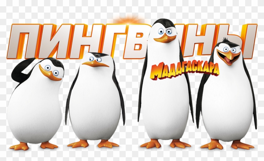 Penguins Of Madagascar Image - Penguins Of Madagascar #263002