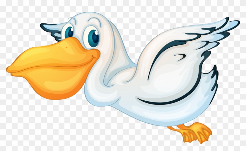 pelican cartoon clipart