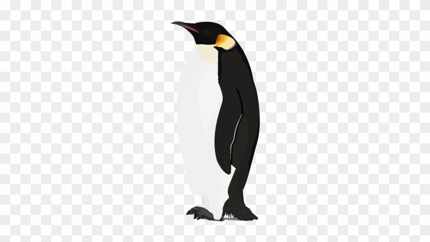 Penguin - Penguin Transparent Background #263132