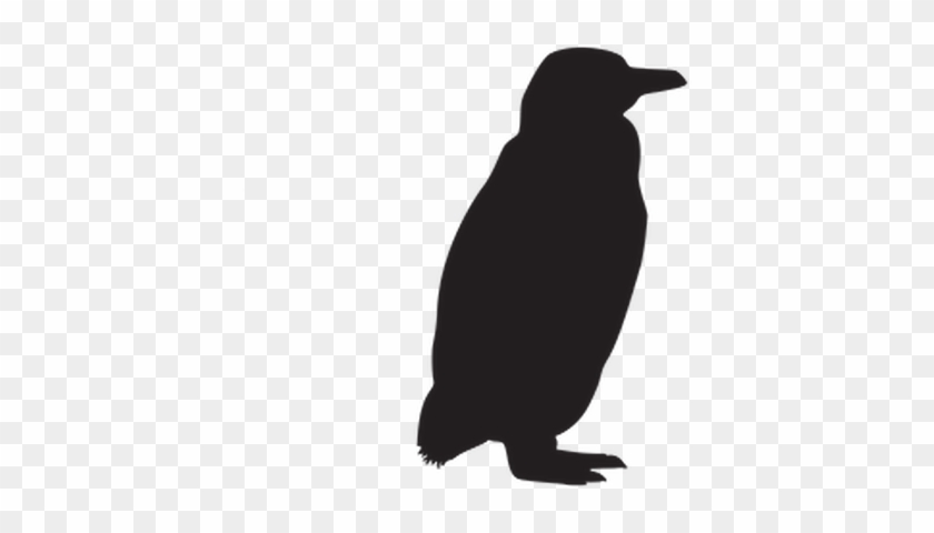 Penguin Clipart Silhouette - Google+ #263149