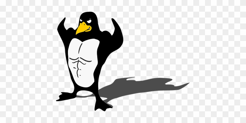 Manchot, Oiseau, La Faune, Tuxedo - Muscle Penguin #263161
