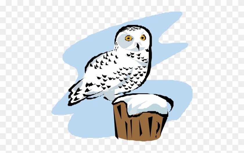 Snowy Owl Clipart Cool Cartoon - Snowy Owl Arctic Cartoon #263306