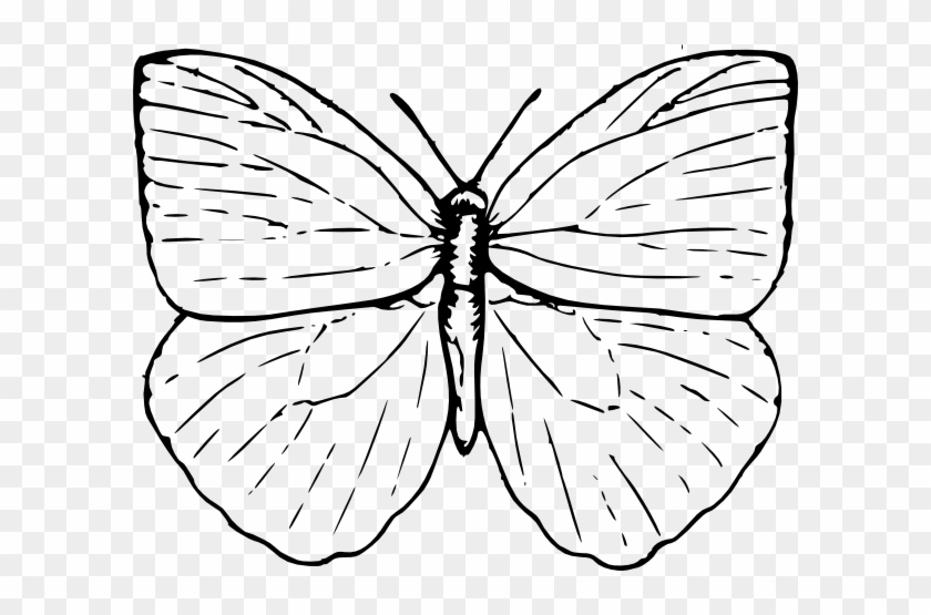 Cute Butterfly Outline Clip Art - Butterfly Clip Art #263505