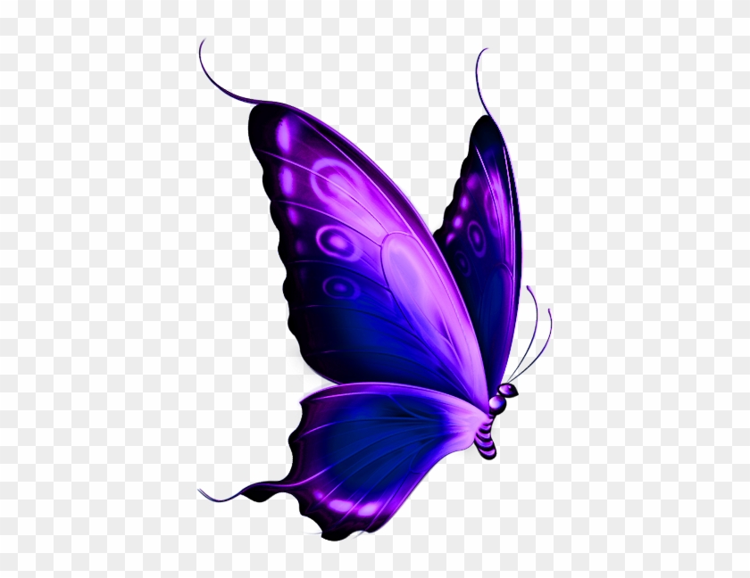 Purple Butterfly Clipart Free Clip Art Library - Purple And Blue Butterfly #263511