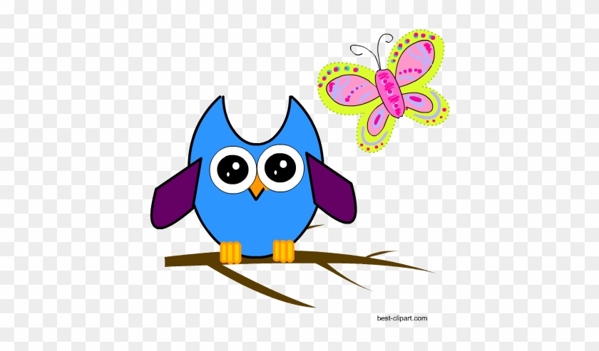 Cute Owl And A Butterfly Free Clip Art Png Image - Clip Art #263516