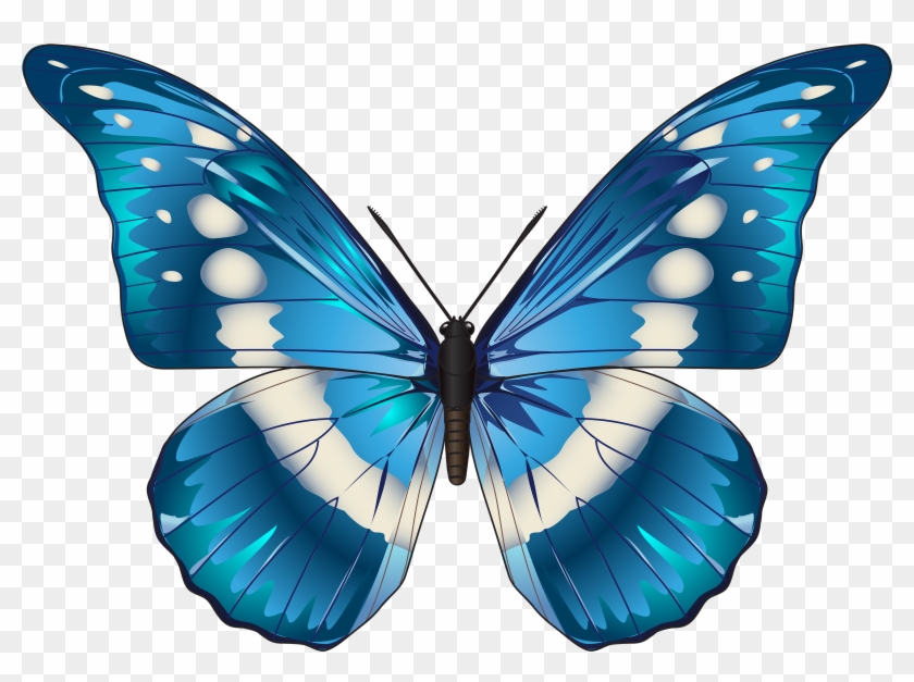 blue butterfly transparent background